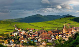 Velkommen til Alsace Vindag 2014