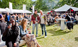 Billetter til Taste of Oslo