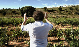 Kraftige rødviner fra Ribera del Duero åpner høstsesongen