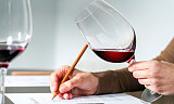 Øk din vinkunnskap med Apéritifs vinskole