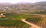 Denne vinen får druer fra to av Santa Barbaras mest ettertraktede vinmarker