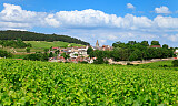 Volnay-adelen