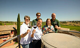 Eksklusiv vertikalsmaking med bærekraftige viner fra hele Toscana