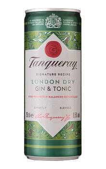 Tanqueray London Dry Gin & Tonic